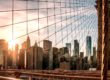 deutsche-finance-investment-fund-19