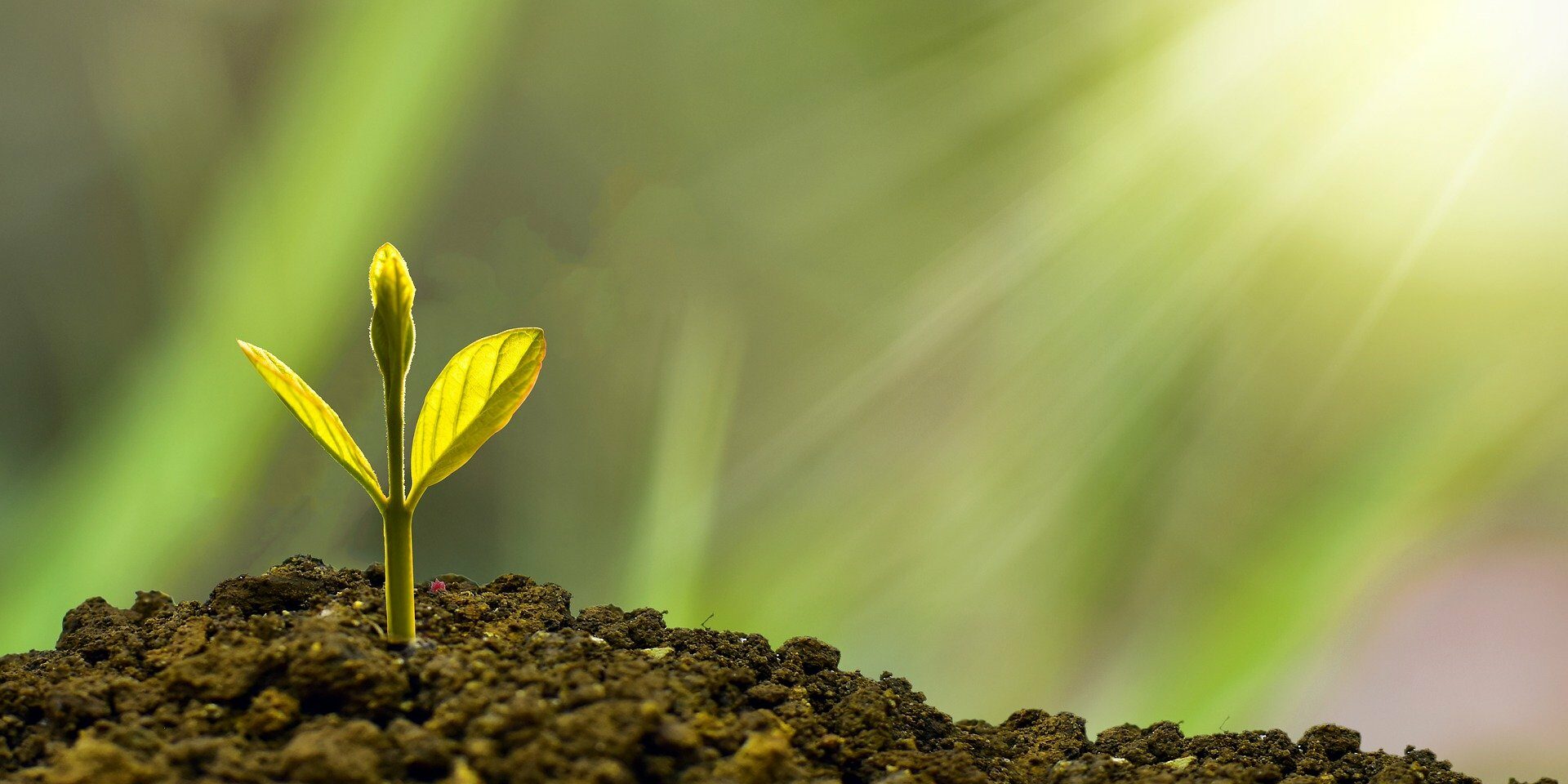 investment-5241253_1920