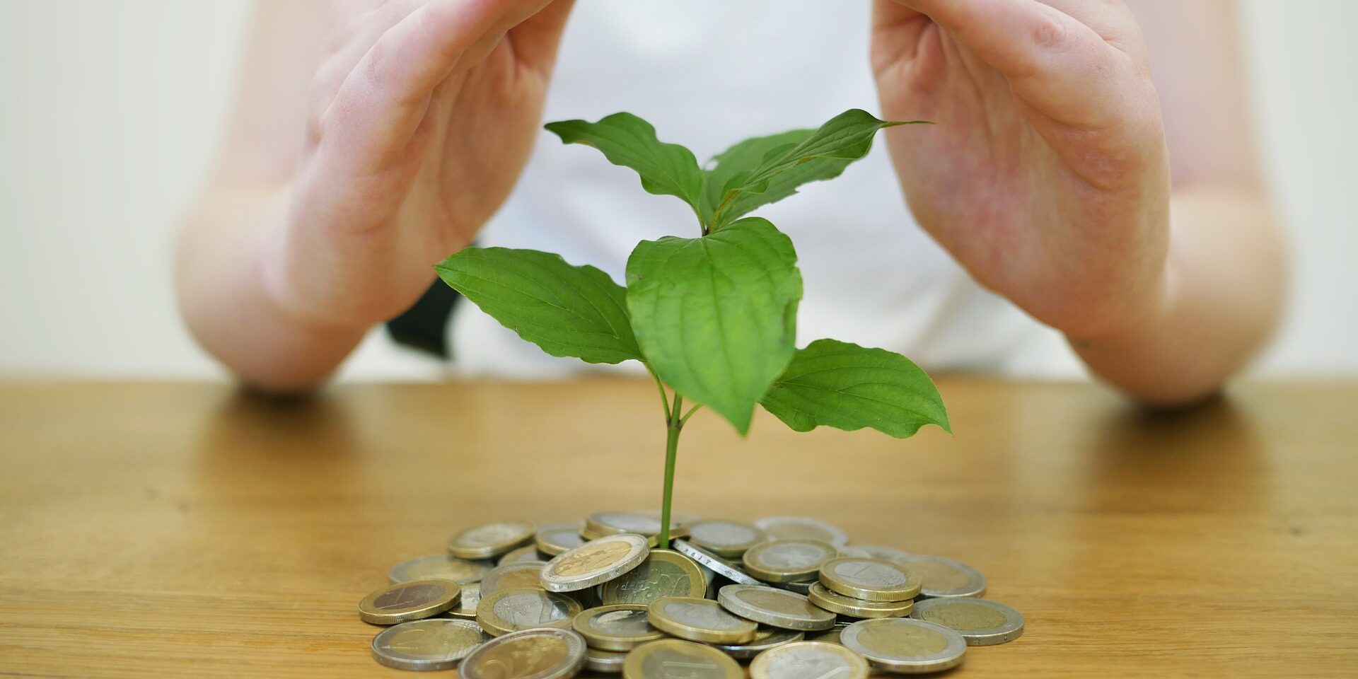 money-back-up-4518407_1920