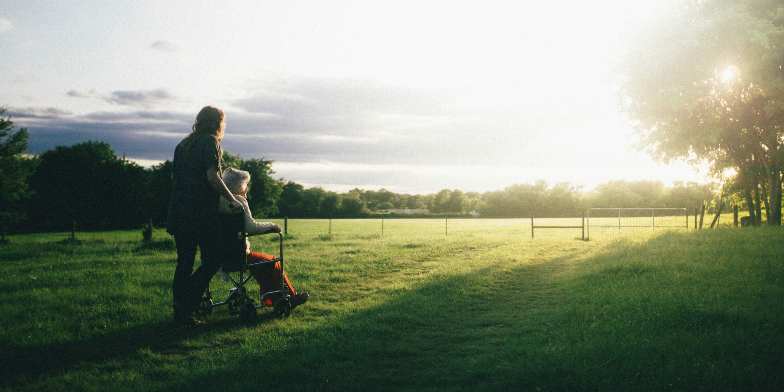 b07035c4-83f0-4b18-b10b-02e4b9abf26e