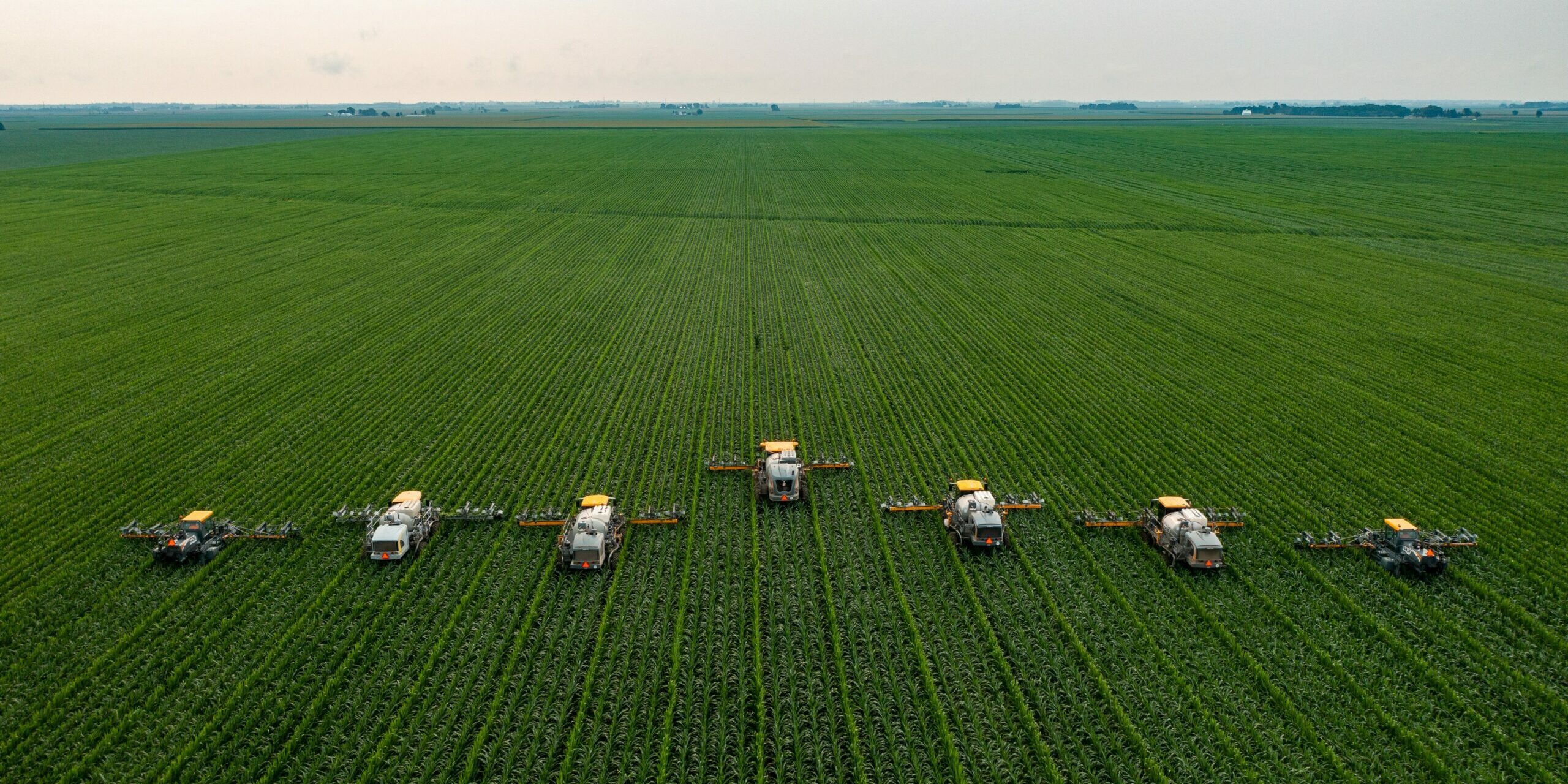 james-baltz-jAt6cN6zl8M-unsplash